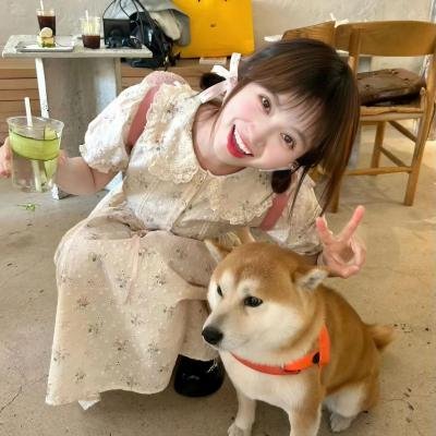 富贵狂花